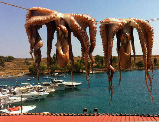 осьминоги сушатся на верёвке, Греция